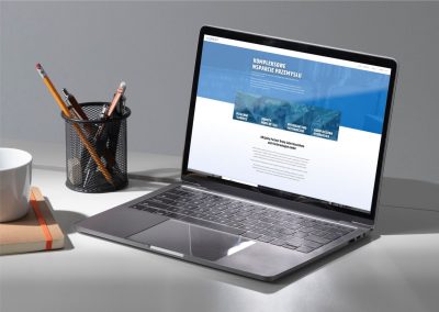Strona internetowa gaboindustrie.com
